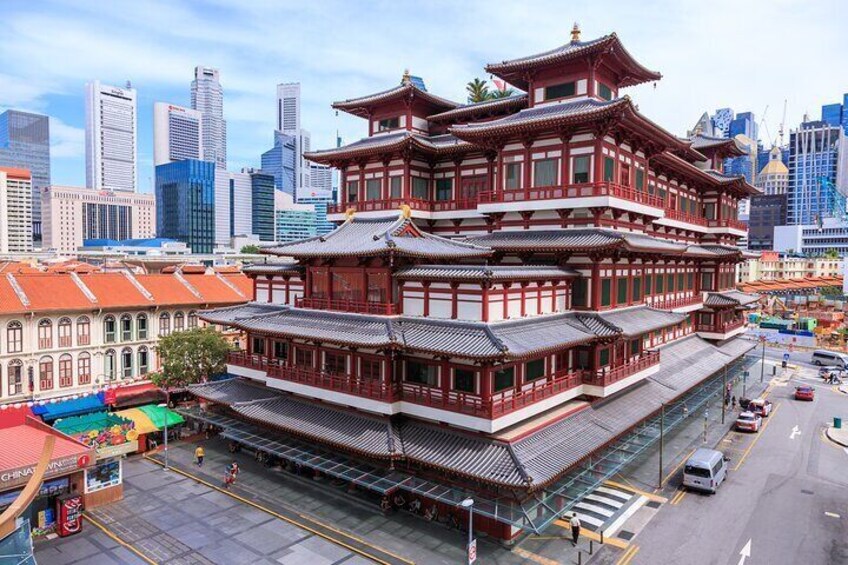 Singapore Private City Tour with Driver 2
