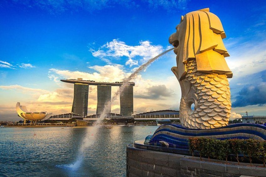 Singapore Private City Tour with Driver 5