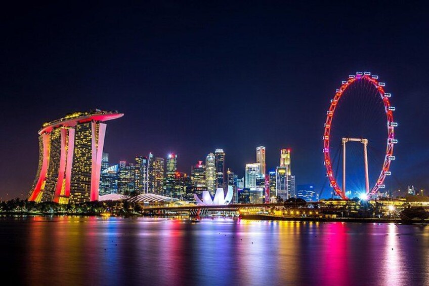 Singapore Private City Tour with Driver 2