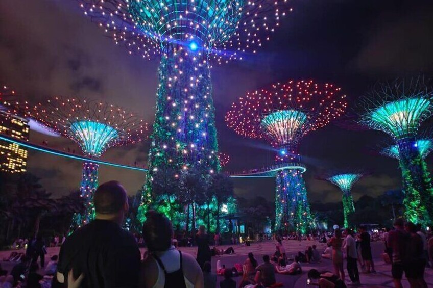 Singapore Private City Tour with Driver 3