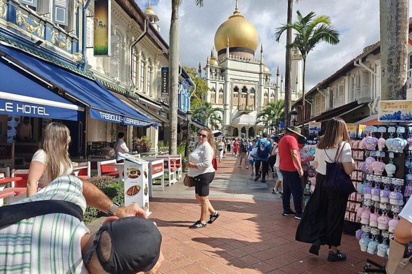 Singapore Private City Tour with Driver 4