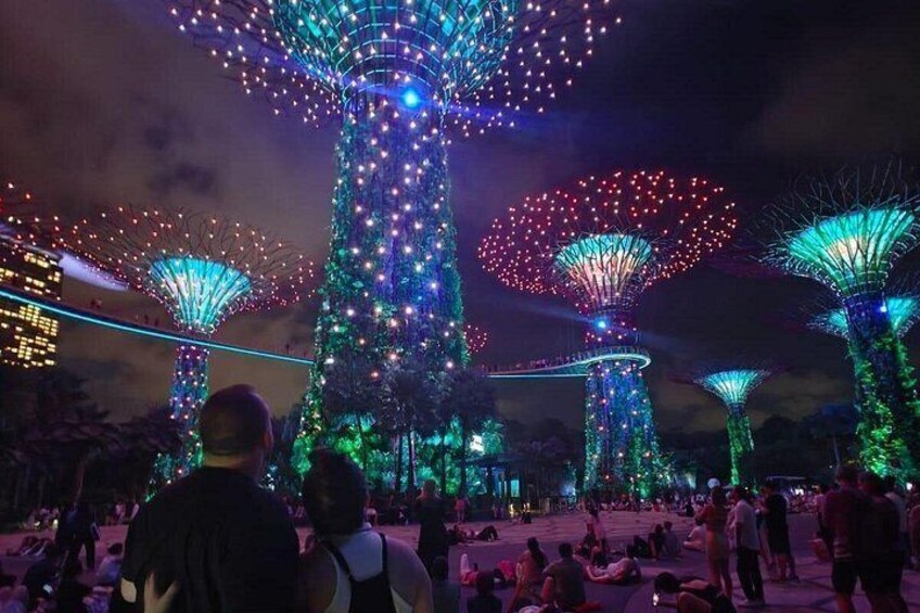 Singapore Private City Tour with Driver 3