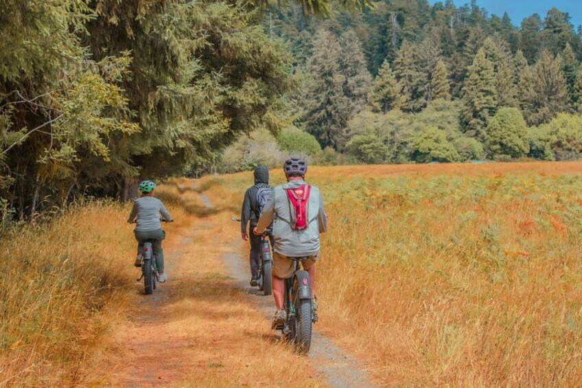 A group of cyclists on a dirt path surrounded by tall grass and trees. 1