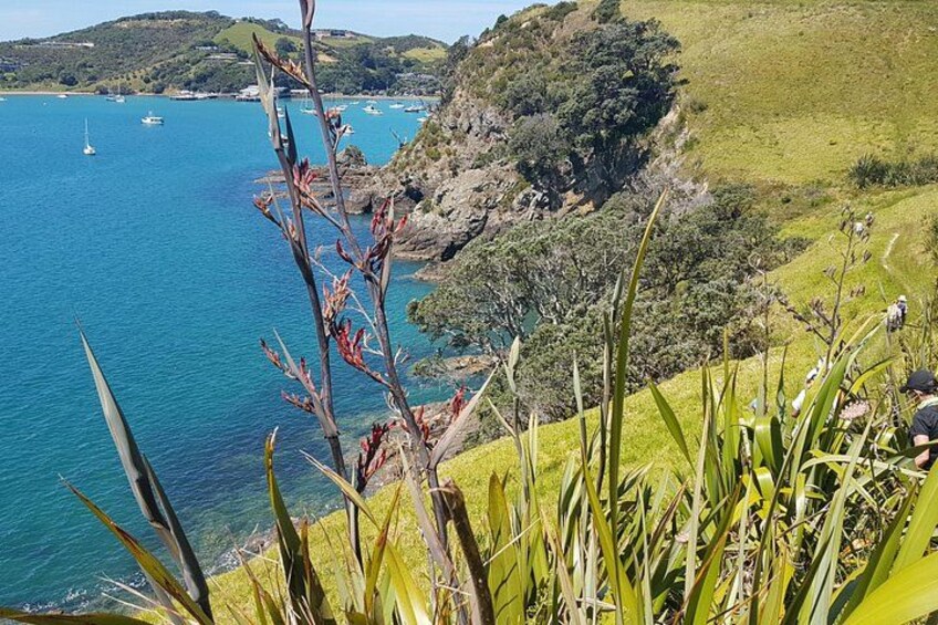 4 Day Waiheke Self-guided Walk-Hosted by Chef & Local of 30 Years 3