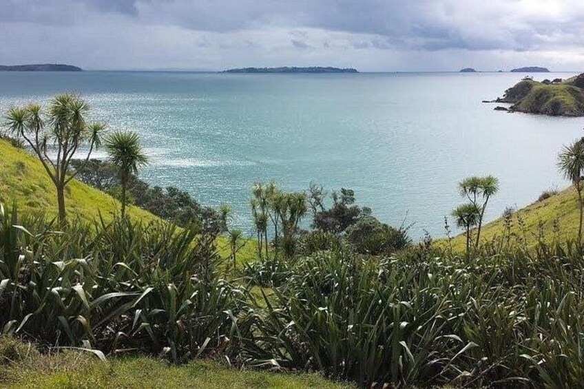 4 Day Waiheke Self-guided Walk-Hosted by Chef & Local of 30 Years 1