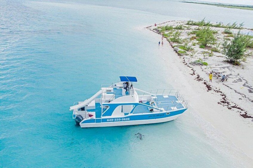 Noahs Ark Catamaran Trip 3