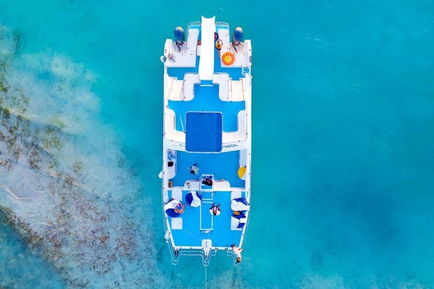 Noahs Ark Catamaran Trip 2