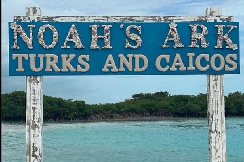 Noahs Ark Catamaran Trip 2