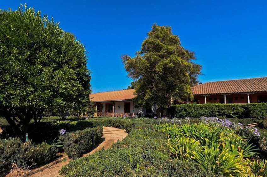 Half Day Santa Rita Vineyard Tour 1