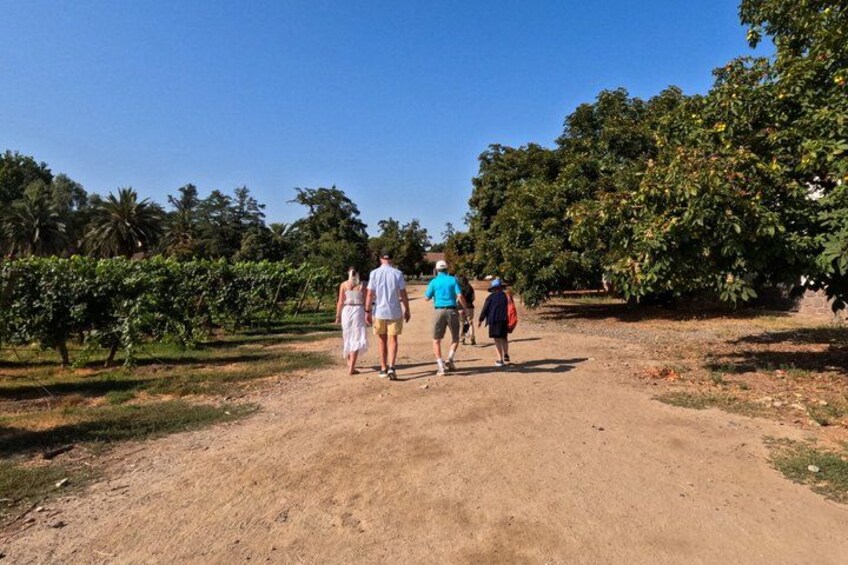 Een groep mensen loopt over een zandpad in een park met bomen en een heldere lucht. 4