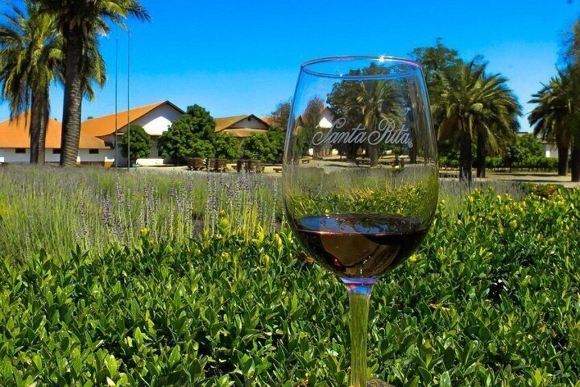 A glass of red wine on grass with a house and palm trees in the background. 2