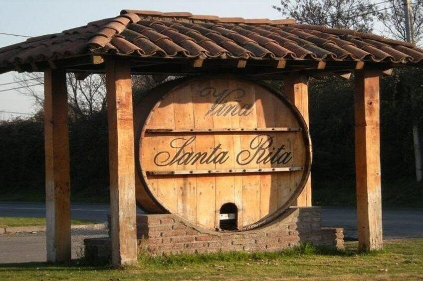 Half Day Santa Rita Vineyard Tour 2