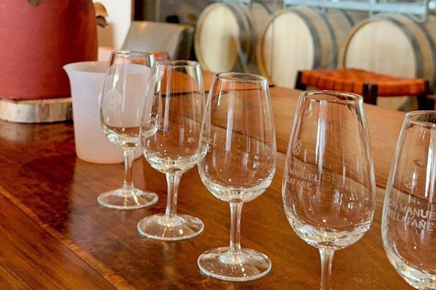 Tour of 3 Wineries and Olive Trees with Tastings 4