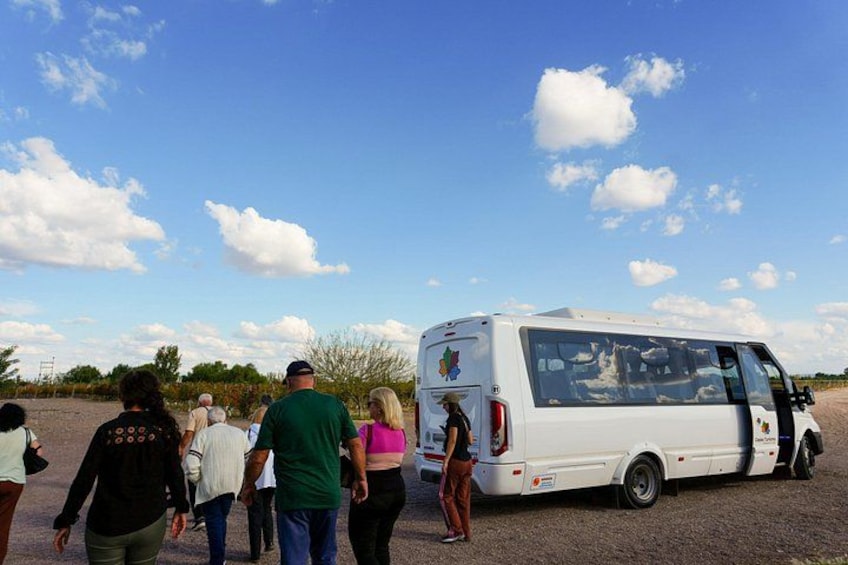 Tour of 3 Wineries and Olive Trees with Tastings 2