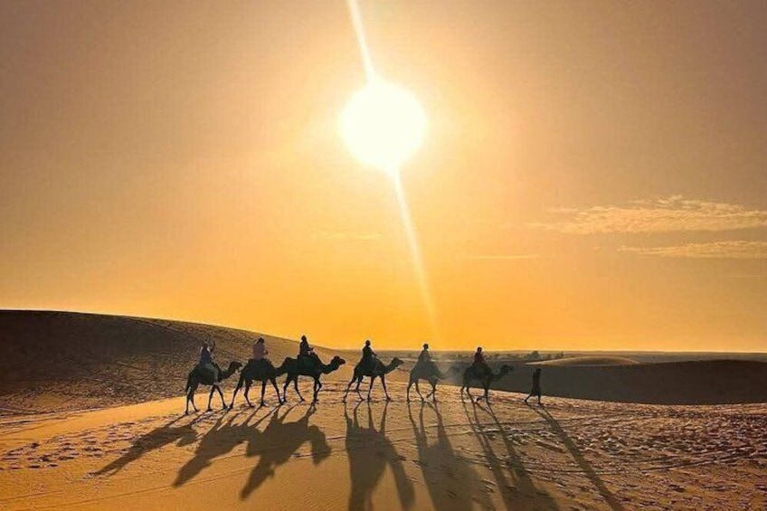 Camels with riders in a desert landscape at sunset. 1