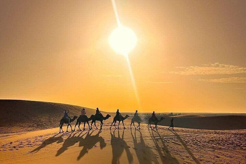 A desert landscape with a group of camels and riders silhouetted against a sunset. 1