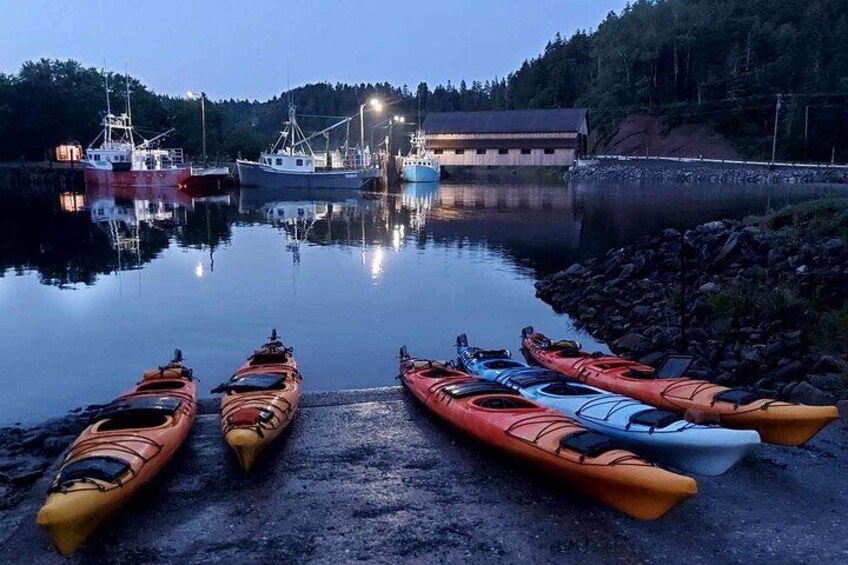 Kayak the Bay of Fundy Sea Caves 2