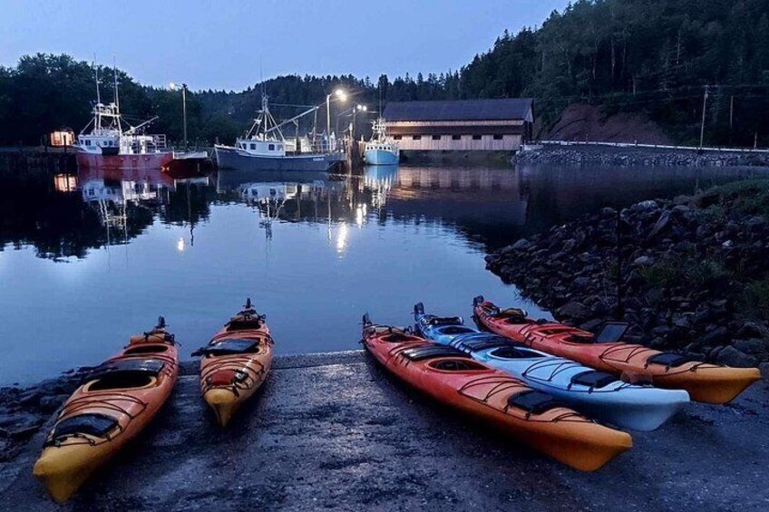 Kayak the Bay of Fundy Sea Caves 4