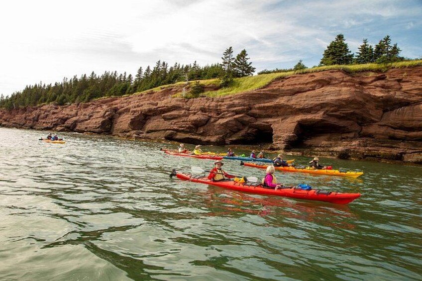 Kayak the Bay of Fundy Sea Caves 3