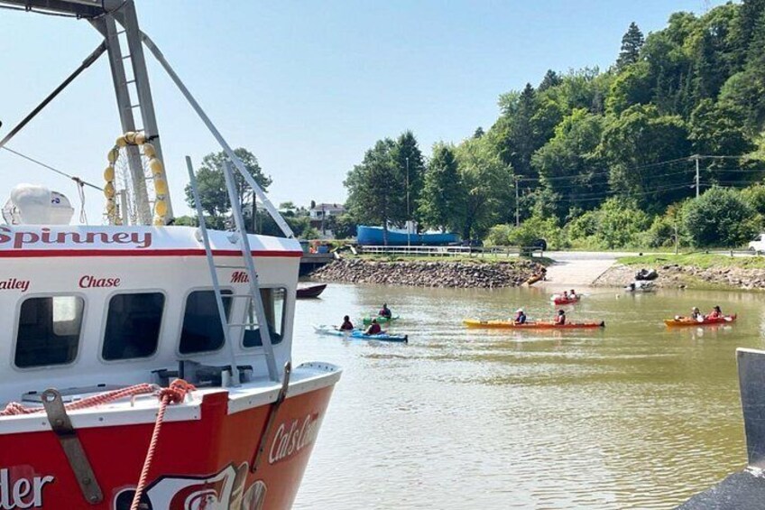 Kayak the Bay of Fundy Sea Caves 3