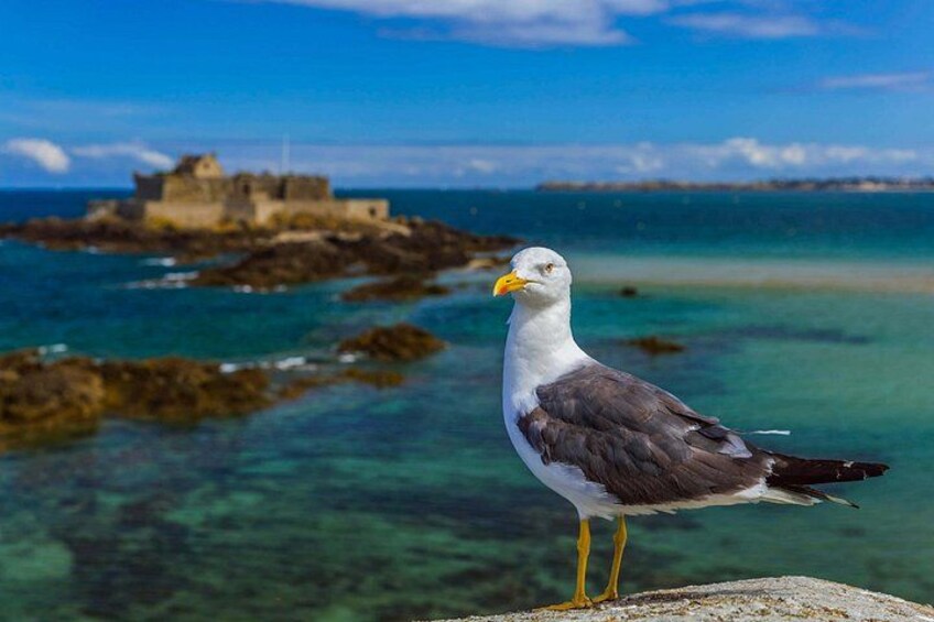 Saint-Malo Walking Tour with Audioguide on Your Smartphone 4