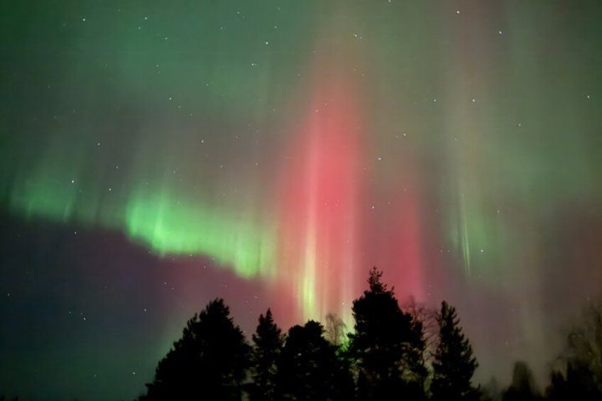Nordlichter über einer bewaldeten Landschaft. 2