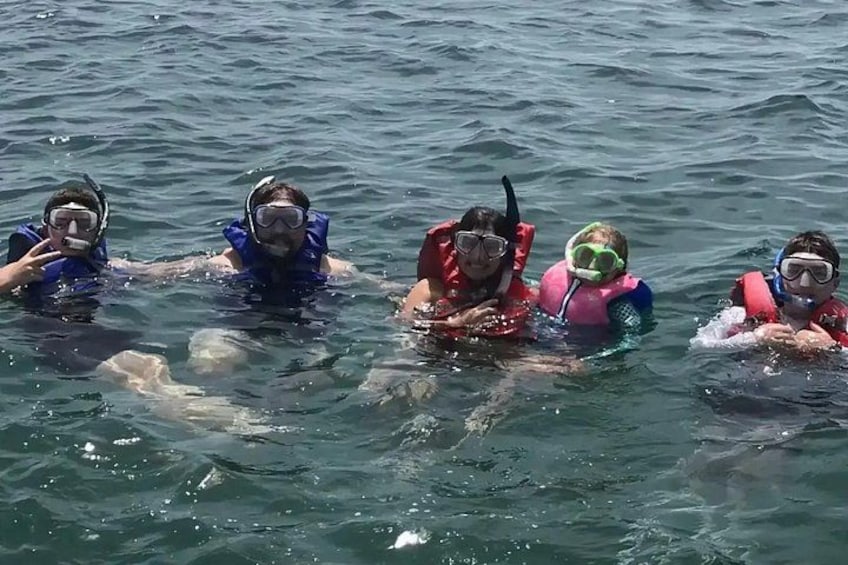 Swim with Dolphins And Snorkeling Group Tour 2