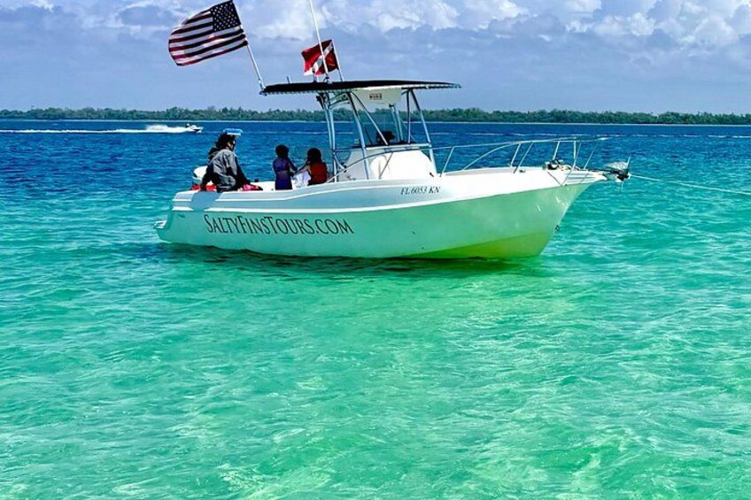 Swim with Dolphins And Snorkeling Group Tour 2