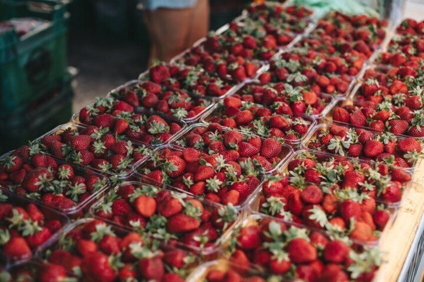 Taste Hawke's Bay - A Sweet treat food Tour 5