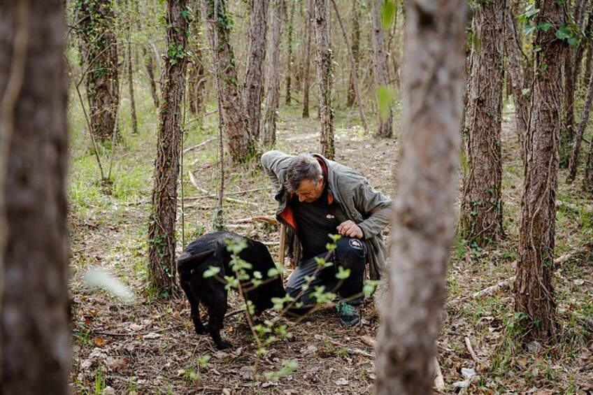 Truffle Hunting and 3-course Truffle Brunch in Motovun 3