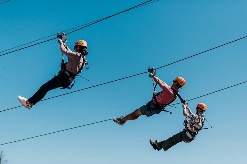Gold Adventure at Quarry Park Adventures Rocklin, CA 2