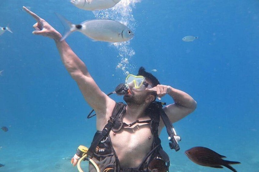 A person scuba diving with fins and a mask, surrounded by fish in clear blue water. 4