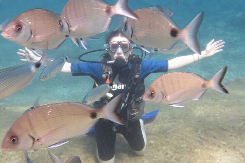 A diver surrounded by fish in clear water. 4