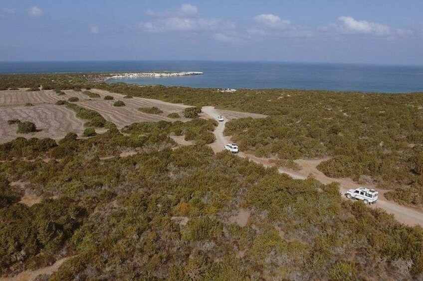 A coastal landscape with a dirt road, sparse vegetation, and a distant shoreline. 5