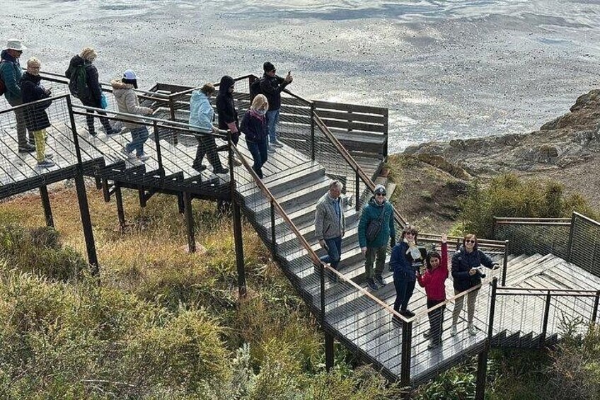 Fuerte Bulnes Private Shore Tour for Cruisers in Punta Arenas 3