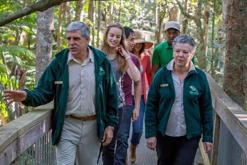 A group of people walking on a wooden bridge in a forested area. 5