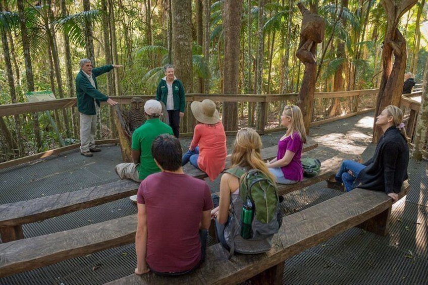 A group of people sitting on a wooden platform in a forested area, with a guide pointing towards something in the distance. 2