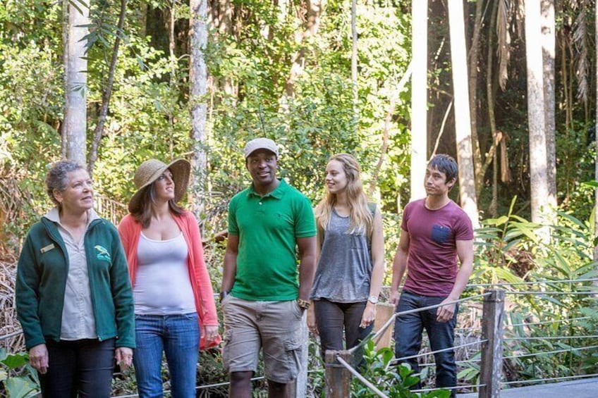 A group of people standing on a bridge surrounded by dense forest. 3