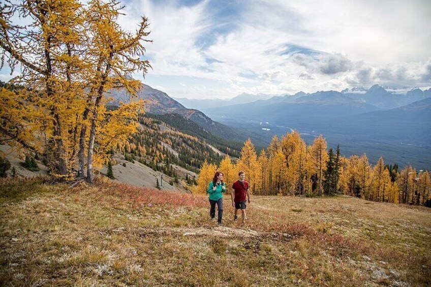 Two people hiking on a grassy hill with autumn-colored trees and a mountain range in the background. 4