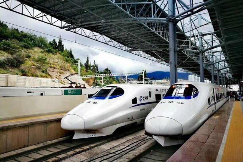 Two bullet trains at a station with a covered platform and a mountainous backdrop. 2