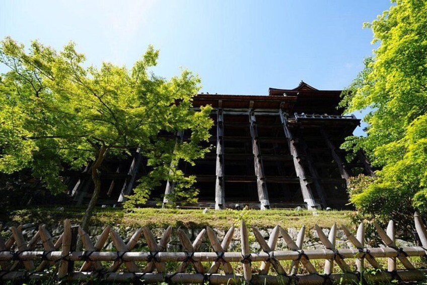 Kyoto Early Morning E Biking Tour Fushimi Inari Kiyomizu Temple 3