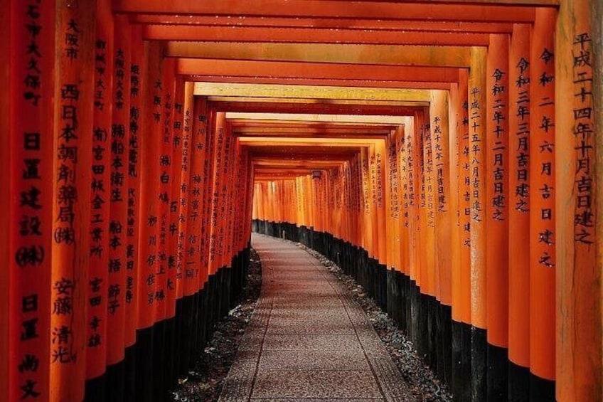 Kyoto Early Morning E Biking Tour Fushimi Inari Kiyomizu Temple 3
