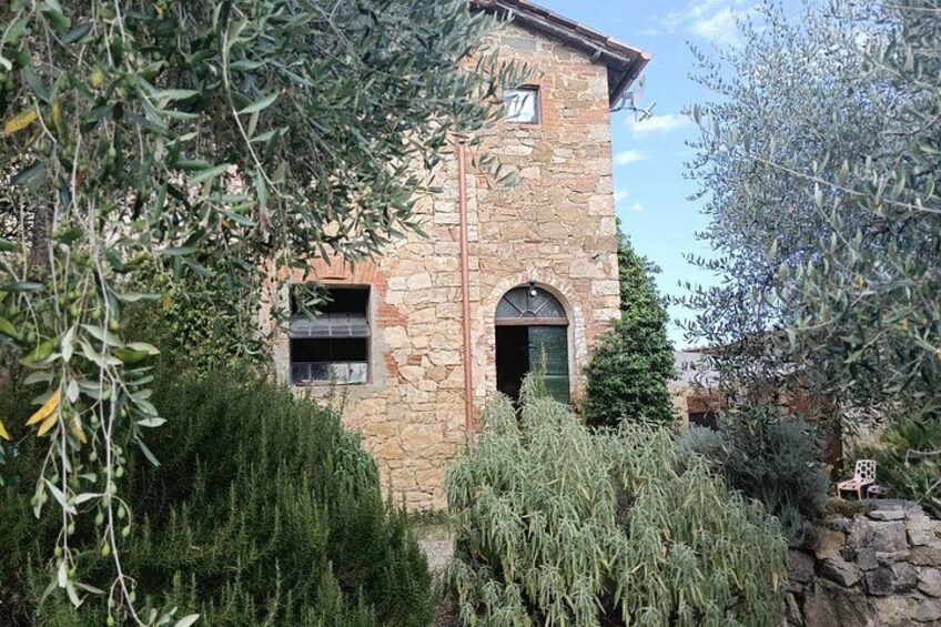 A stone building with a green door, surrounded by olive trees and shrubs. 2