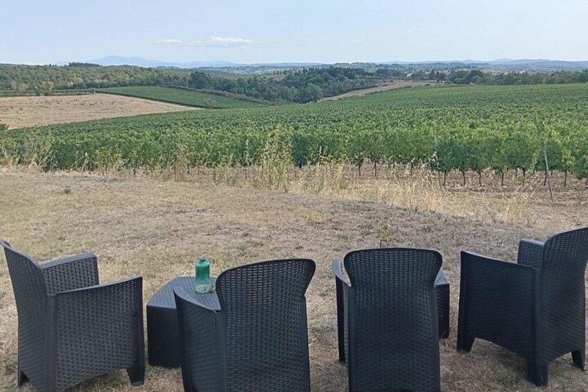 A vineyard with rows of grapevines, a table with chairs, and a bottle of water. 4