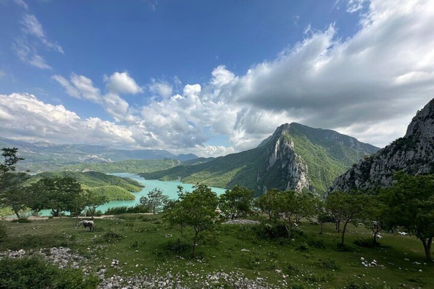 Et bjergrigt landskab med en sø, træer og en klar himmel. 4