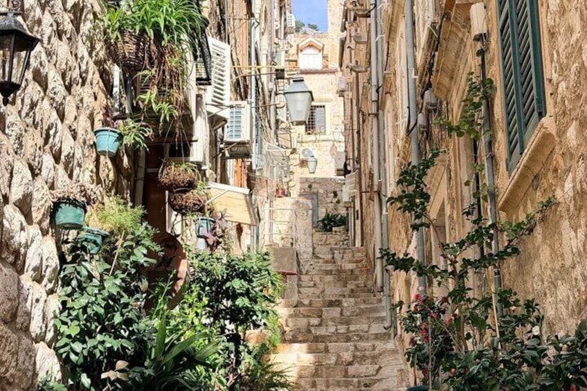 A narrow stone alley with hanging plants and traditional architecture. 4