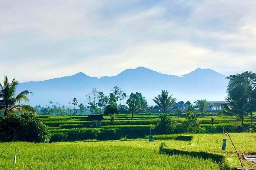 Lombok: Benang Stokel and Kelambu Waterfall Adventure Tour 2