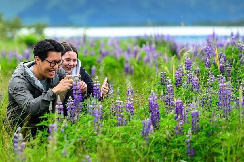 Turnagain Arm Highlights Photo Tour 1