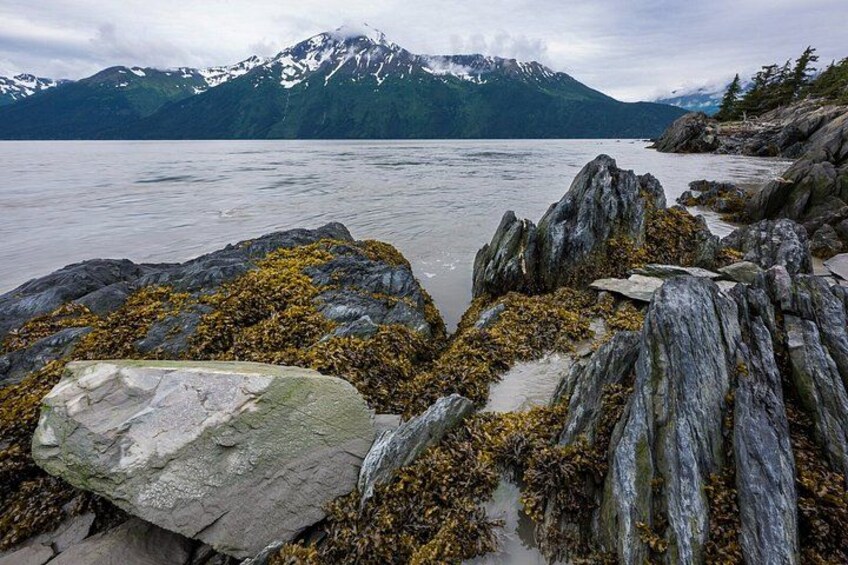 Turnagain Arm Highlights Photo Tour 5