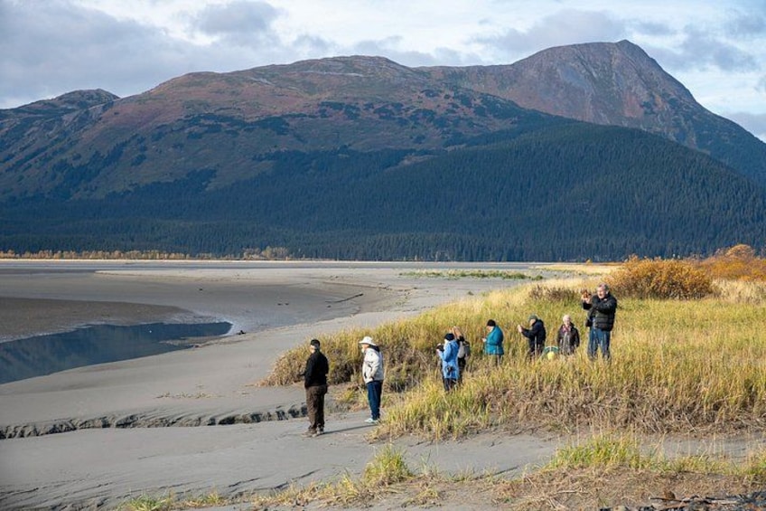 Un groupe de personnes se promène le long d’une plage, avec des montagnes en arrière-plan. 5
